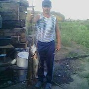  ,   , 54 ,   , 
