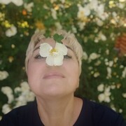  -,   , 51 ,   