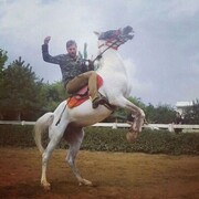  ,   Bek, 37 ,   ,   