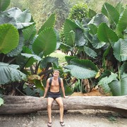 ���������� ����, ���� ������� ������, 43 ����, ������������ ��� ������, ����� � ���������, c�������� ���������