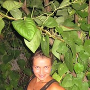 ���������� Kruje, ���� ������� �������, 32 ����, ������������ ��� ������, ���������