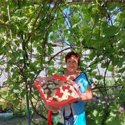  ,   Galina, 59 ,   c , 