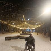 ���������� �������, ���� ������� �����, 48 ���, ������������ ��� c�������� ���������