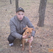 ���������� ��������, ���� ������� ������, 39 ���, ������������ ��� ����� � ���������, c�������� ���������