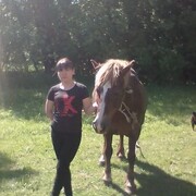 ���������� �����, ���� ������� ���������, 43 ����, ������������ ��� ������, ����� � ���������, c�������� ���������, ���������