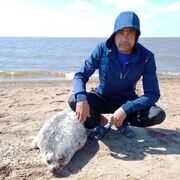 ���������� ����� ��, ������� ������, 38