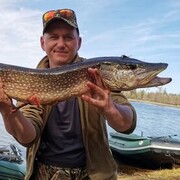 ���������� ������, ���� ������� �����, 42 ����, ������������ ��� ������, ����� � ���������, c�������� ���������, ���������