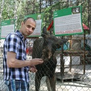 ���������� ������������, ���� ������� �������, 44 ����, ������������ ��� ������, ����� � ���������, c�������� ���������