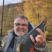  ,   , 60 ,   ,   