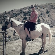 ���������� �������, ���� ������� ������, 38 ���, ������������ ��� ������, ����� � ���������, c�������� ���������