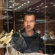   ,   , 44 ,   
