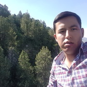  ,   Nortoy, 31 ,   ,   , c 