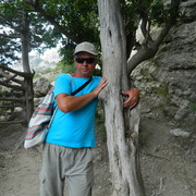 ���������� �����������, ���� ������� ����, 54 ����, ������������ ��� ������, ����� � ���������, c�������� ���������