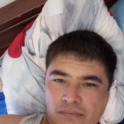 ���������� ������, ���� ������� Aza, 44 ����, ������������ ��� ������, ����� � ���������, c�������� ���������