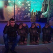 ���������� ������, ���� ������� ����, 39 ���, ������������ ��� c�������� ���������