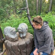 ���������� �����������, ���� ������� ������, 35 ���, ������������ ��� ������, ����� � ���������, c�������� ���������, ���������