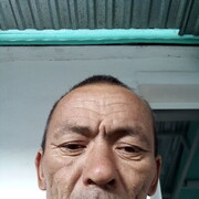  -,   , 49 ,   ,   