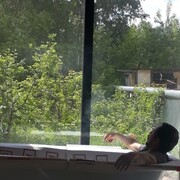 ���������� ������������, ���� ������� Salavat, 51 ���, ������������ ��� ������, ����� � ���������, c�������� ���������