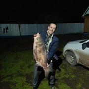 ���������� ���, ���� ������� �����, 37 ���, ������������ ��� ����� � ���������, c�������� ���������