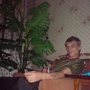 ���������� ������ ���, ���� ������� �����, 41 ���, ������������ ��� ������, ����� � ���������, c�������� ���������, ���������