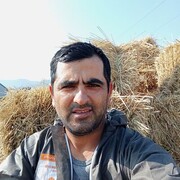  ,   , 33 ,   ,   