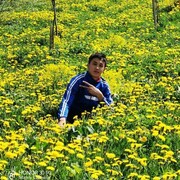  ,   , 25 ,   ,   