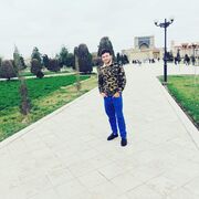 ���������� �������, ���� ������� ����, 31 ���, ������������ ��� ������, ����� � ���������