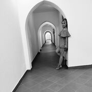 ���������� �����-���������, ���� ������� ����, 38 ���, ������������ ��� ������, ����� � ���������