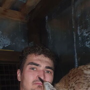 ���������� ������, ���� ������� ��� ���, 36 ���, ������������ ��� ������, ����� � ���������