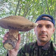 ���������� �������, ������� �����, 45