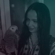 ���������� ������, ������