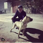 ���������� �������, ���� ������� ����, 30 ���, ������������ ��� ������, ����� � ���������, c�������� ���������