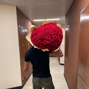 ���������� ������, ���� ������� �����, 39 ���, ������������ ��� ������, ����� � ���������, ���������