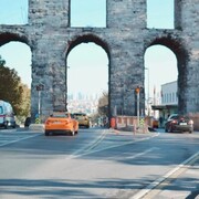 ���������� �������, ���� ������� ������, 36 ���, ������������ ��� ����� � ���������, c�������� ���������, ���������