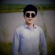  ,   Lion, 20 ,   ,   
