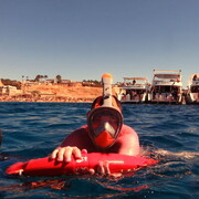 ���������� ����, ���� ������� �����, 43 ����, ������������ ��� ������, ����� � ���������