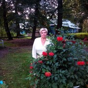  ,   , 55 ,     , 