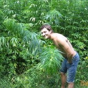 ���������� �����-���������, ���� ������� ������ ���, 39 ���, ������������ ��� ������