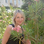  ,   , 51 ,  