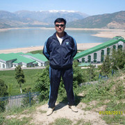  ,    , 41 ,   