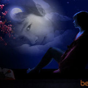 ���������� ������, ���� ������� �����, 36 ���, ������������ ��� ������, ����� � ���������, c�������� ���������