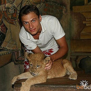 ���������� ������, ���� ������� �����, 36 ���, ������������ ��� ������