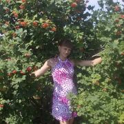 �����, ������