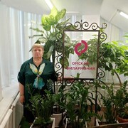 ���������� ����, ���� ������� ������, 62 ����, ������������ ��� ������, ����� � ���������