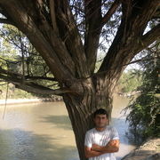  ,   ELMIR, 35 ,   