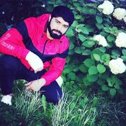 ���������� �����-���������, ���� ������� ���, 31 ���, ������������ ��� ������, ����� � ���������