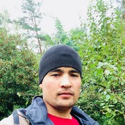  ,   SARDOR, 35 ,   ,   , c 
