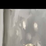  ,  , 23