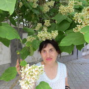  ,   , 65 ,   c 
