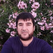 ���������� ���������, ���� ������� ���, 44 ����, ������������ ��� ����� � ���������, c�������� ���������, ���������